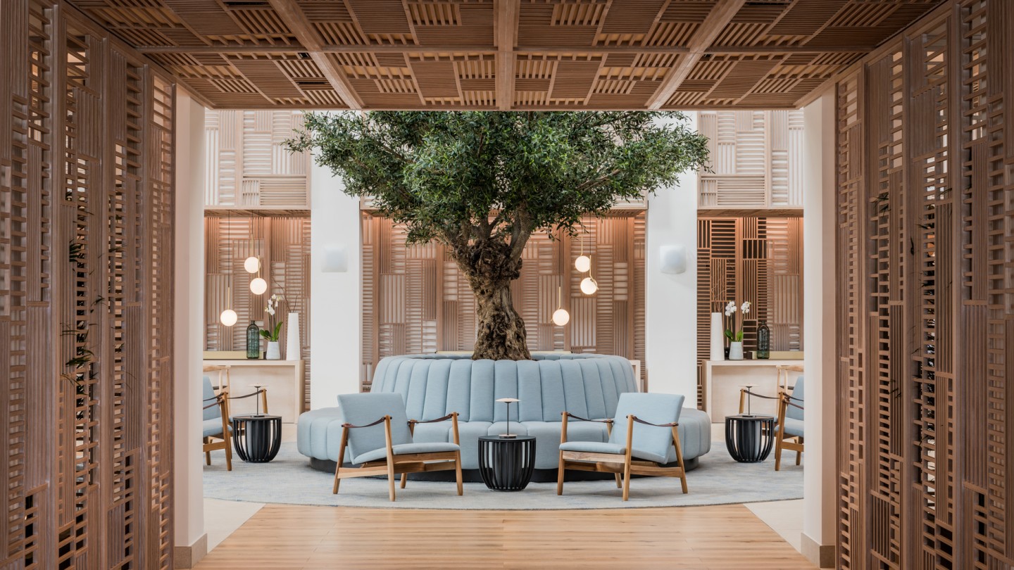 a bespoke olive tree integrated into circular seating